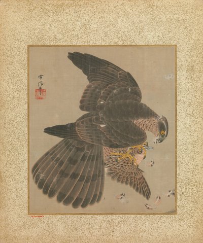 Album of Hawks and Calligraphy, 17.-18. århundrede. af Kanô Yôboku Tsunenobu