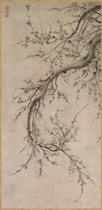 Prunus, 1600-tallet. af Kano Ein