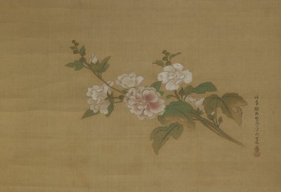 En gren af blomstrende hibiscus, Edo-periode (farve på silke) af Kano Tanyu