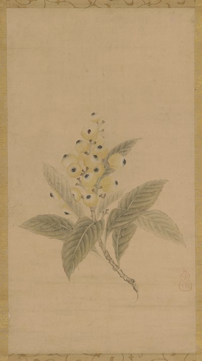En gren af mispel, Edo-periode, 1600-tallet. af Kanō Tan’yū