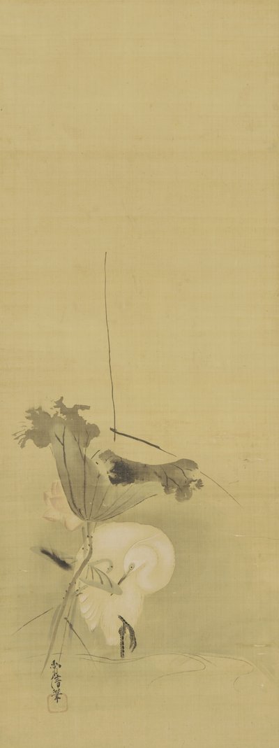 Hejre og lotus, Edo-periode, midten af det 17.-begyndelsen af det 18. århundrede (blæk og farve på silke) af Kano Tsunenobu