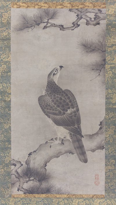 Hawk on a Pine Shoo zu, 1500-tallet. af Kano Yukinobu