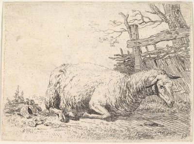 Et får, der ligger med benene foldet under kroppen ved siden af et plankeværk, hun..., ca. 1655. af Karel Du Jardin