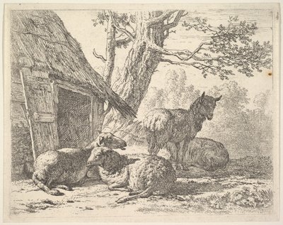 Fire får, et får står blandt tre andre liggende på jorden ved siden af et skur med den..., 1658. af Karel Du Jardin