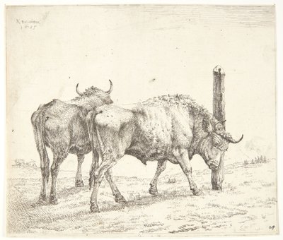 De to okser af Karel Du Jardin