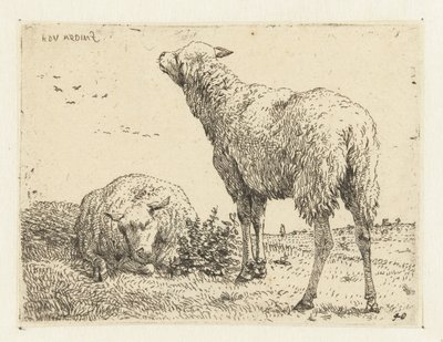 To får af Karel Du Jardin