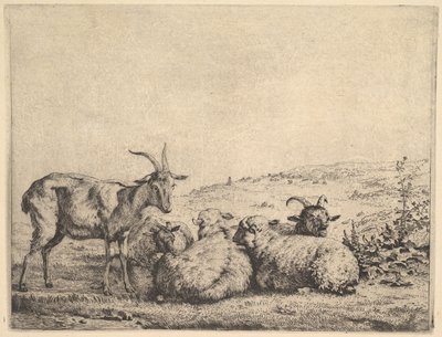 To geder og tre får, 1655. af Karel Du Jardin