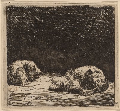 Hund og kat af Karel Dujardin