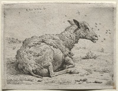 Fårene og Fluerne. af Karel Dujardin