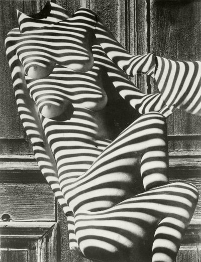 Zebra-damer af Karel Teige