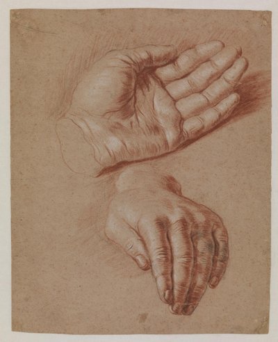 Studier af to hænder. af Karel van III Mander
