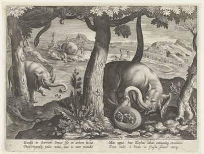 Olifant mødte slang i kamp Jachttaferelen (serietitel) Jagten på vildt, fugle og fisk i Bestiary (serietitel) af Karel van Mallery (attributed to)