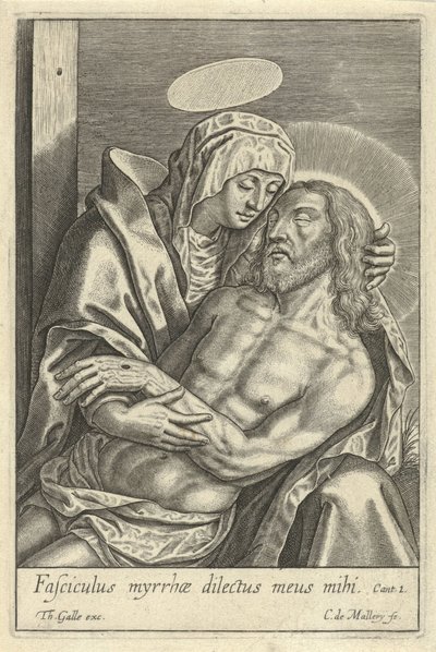 Pieta af Karel van Mallery