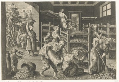 Samling af morbærblade og fodring af silkeormene Introduktion af silkeorm og silkeproduktion i Europa (serietitel) Vermis Sericus (serietitel på objekt) af Karel van Mallery