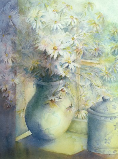 Asters - Snowsprite i kande på vindueskarm af Karen Armitage
