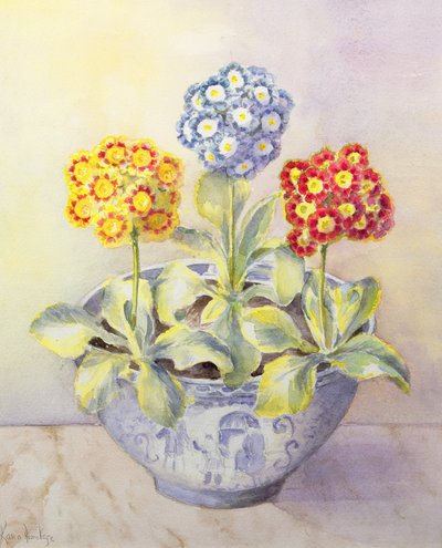 Auricula i en kinesisk gryde af Karen Armitage