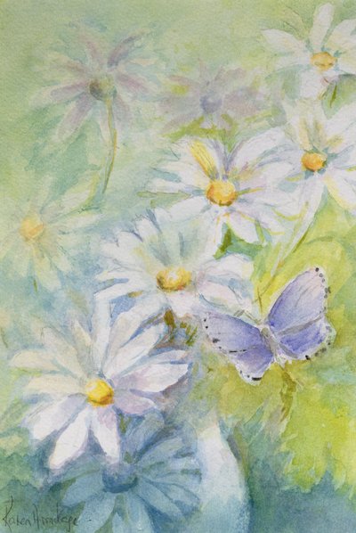 Almindelig blå (Polyommatus Icarus) på tusindfryd af Karen Armitage