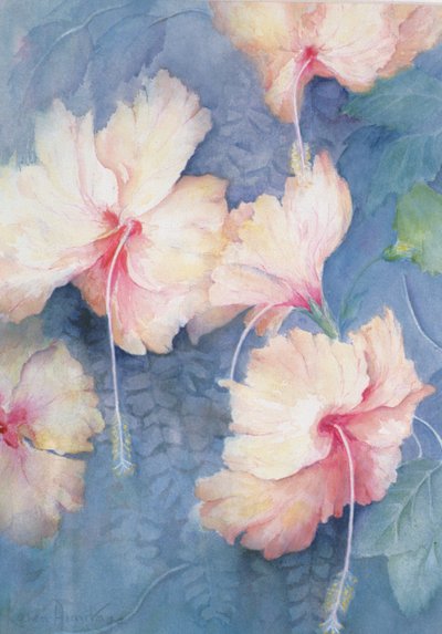 Hibiscus, abrikos af Karen Armitage