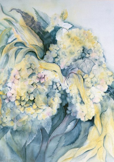 Hortensia Particulata af Karen Armitage