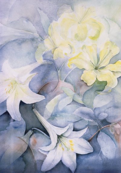 Lilium, Hearts Desire og Imperiale af Karen Armitage