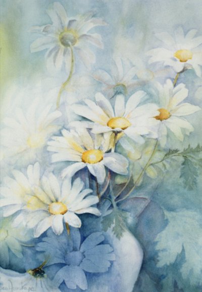 Marguerites, Alexandria af Karen Armitage