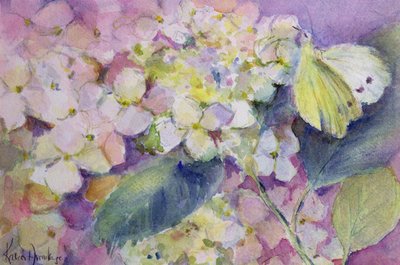 Bleg skyet gul sommerfugl, Colias Hyale på hortensia af Karen Armitage