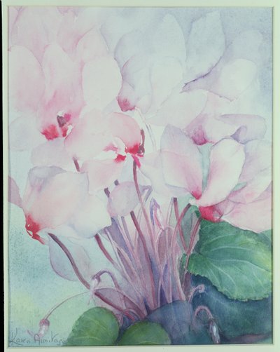 Pink Cyclamen, Victoria af Karen Armitage
