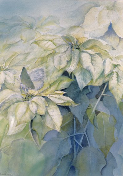 Hvid julestjerne (lodret) af Karen Armitage