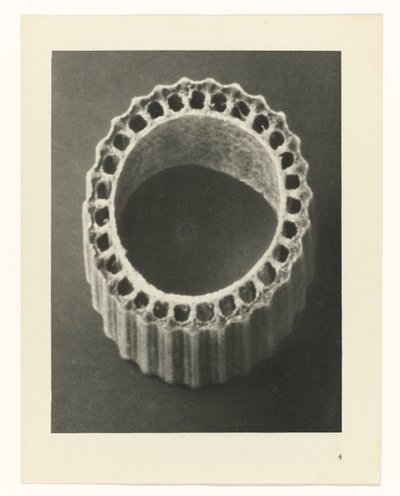 Plantestudier Arketyper af kunst: fotografiske billeder af planter (serietitel) af Karl Blossfeldt