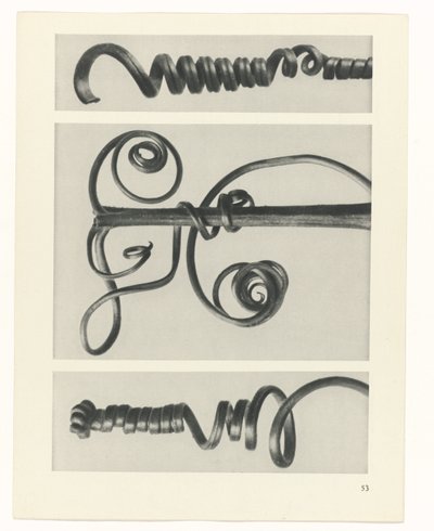 planlægge undersøgelse Arketyper af kunst (serietitel) af Karl Blossfeldt