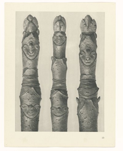 planlægge undersøgelse Arketyper af kunst (serietitel) af Karl Blossfeldt