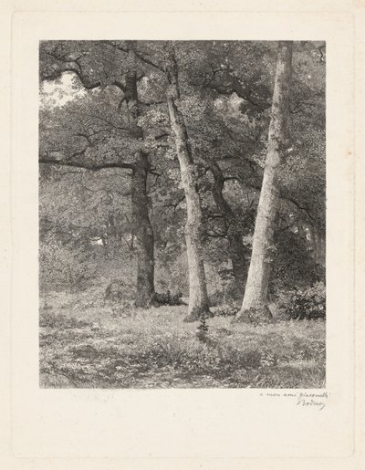 En lysning i skoven af Karl Bodmer