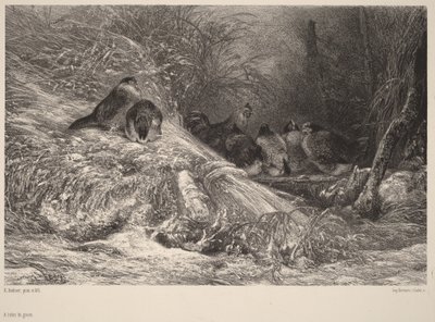  af Karl Bodmer