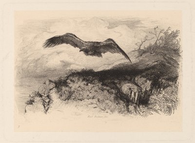flyvende ørn af Karl Bodmer