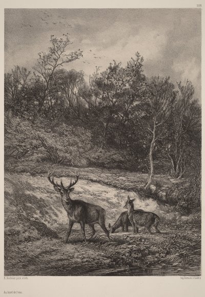 Ved vandet af Karl Bodmer