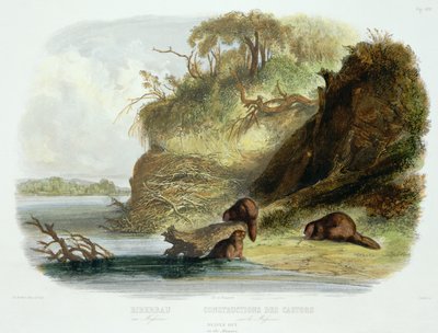 Beaver Hut on the Missouri, plade 17 fra bind 1 af `Rejser i det indre af Nordamerika