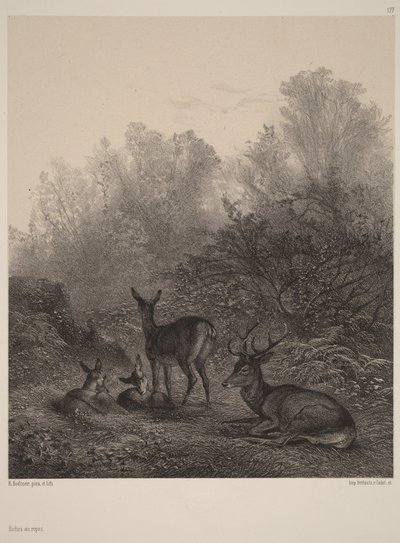 Hvilende hinder af Karl Bodmer