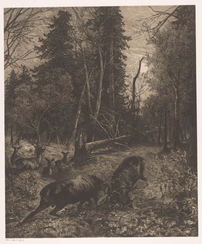 Skovudsigt med to kæmpende hjorte af Karl Bodmer