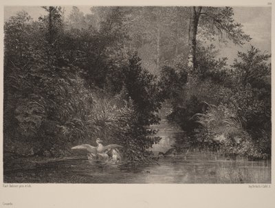  af Karl Bodmer