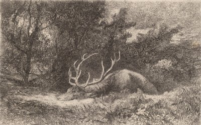 Hjort a la Reposee. af Karl Bodmer