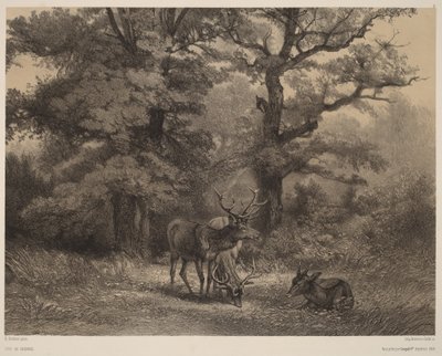 Græssende hjorte af Karl Bodmer