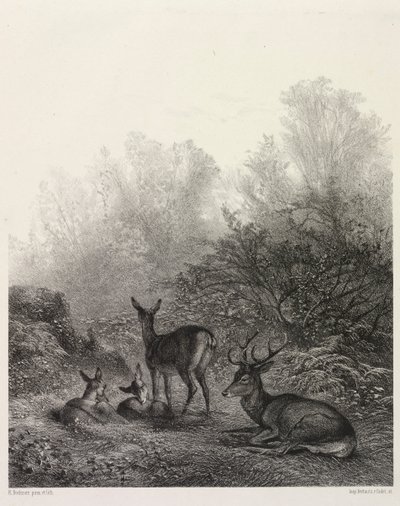 Hjorte i hvile. af Karl Bodmer