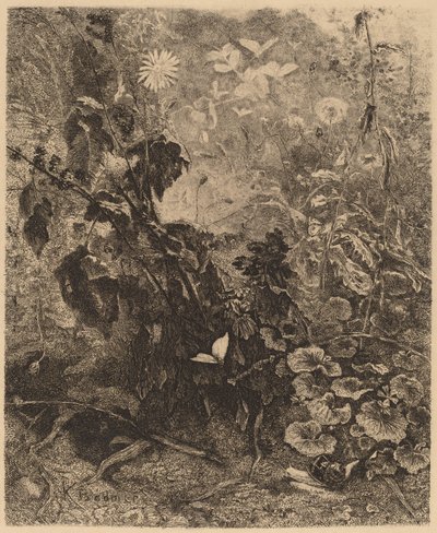 Snegle og sommerfugle. af Karl Bodmer