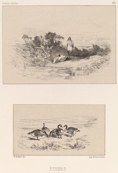 Studier af Karl Bodmer