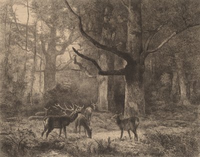 Fontainebleau Skov. af Karl Bodmer