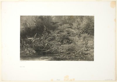Ræv på Løb af Karl Bodmer