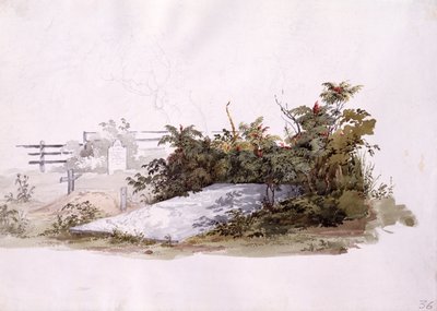Brødrenes grav ved Gnadenhutten af Karl Bodmer