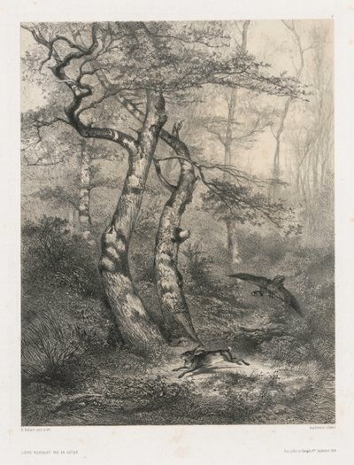 Hare forfulgt af en gåhøg af Karl Bodmer