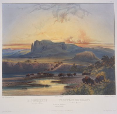 Flok bisoner i Upper Missouri af Karl Bodmer