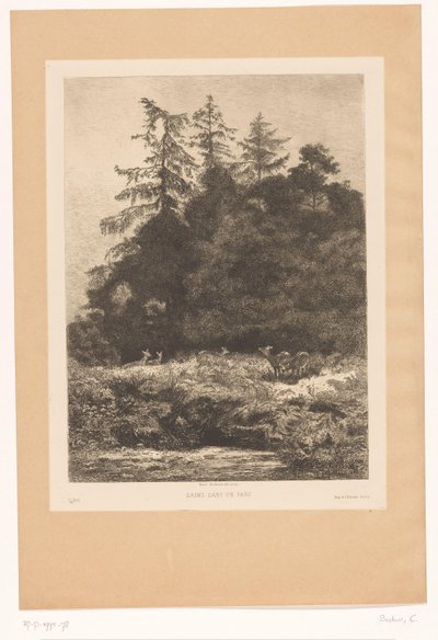 Hjorte i udkanten af ​​en skov Daims dans un parc (titel på objekt) af Karl Bodmer